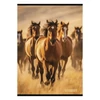 Füzet sima STREET A/4 54 lapos Horses